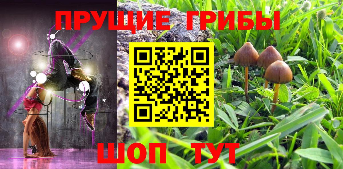 Нижнекамск  Псилоцибиновые грибы GOLDEN TEACHER  наркота  Вход с VPN 