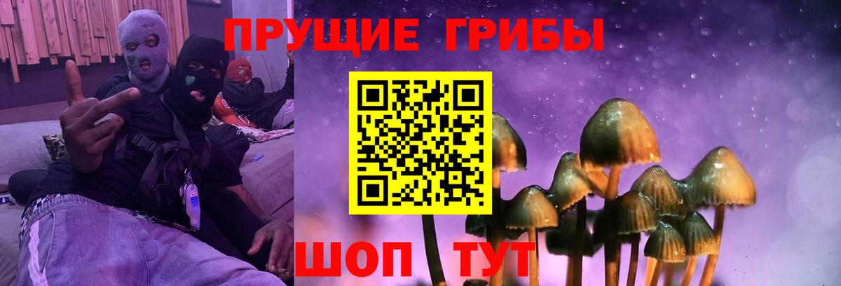 Галлюциногенные грибы Psilocybe Нижнекамск